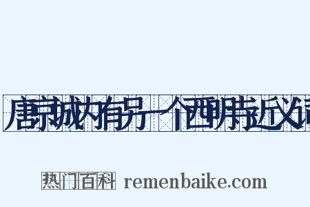唐京城内有另一个西明寺近义词是什么意思的图片